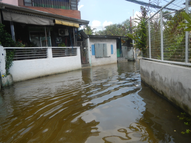 Eine überflutete Wohnstraße mit Wasser auf dem Boden, Wänden, Geländern, Pflanzen, Bäumen und Gebäuden, einem Zaun auf der rechten Seite und einem bewölkten Himmel im Hintergrund.