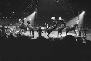 Schwarzes und weißes Foto von Darstellern auf Pferden auf einer Bühne, mit einigen im Vordergrund auf einer Tribüne stehend und sichtbaren Zuschauern unten, sowie zusätzlichen Personen und Bühnenbeleuchtung im Hintergrund.