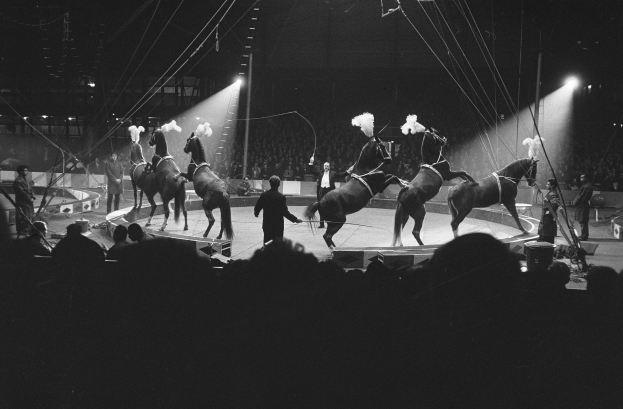 Schwarzes und weißes Foto von Darstellern auf Pferden auf einer Bühne, mit einigen im Vordergrund auf einer Tribüne stehend und sichtbaren Zuschauern unten, sowie zusätzlichen Personen und Bühnenbeleuchtung im Hintergrund.