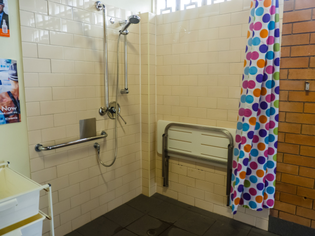 Ein barrierefreies Badezimmer mit Dusche, Handl├Ąufen, Vorhang, Wandplakaten, einem St├Ąnder mit Tablett und einem Fenster.