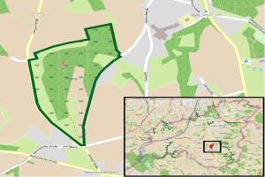 Neuer Busbetriebsstandort, Kfz-Zulassungs- und Führerscheinstelle: Umzug von der Rheinstraße-Industriezone und Neuordnung