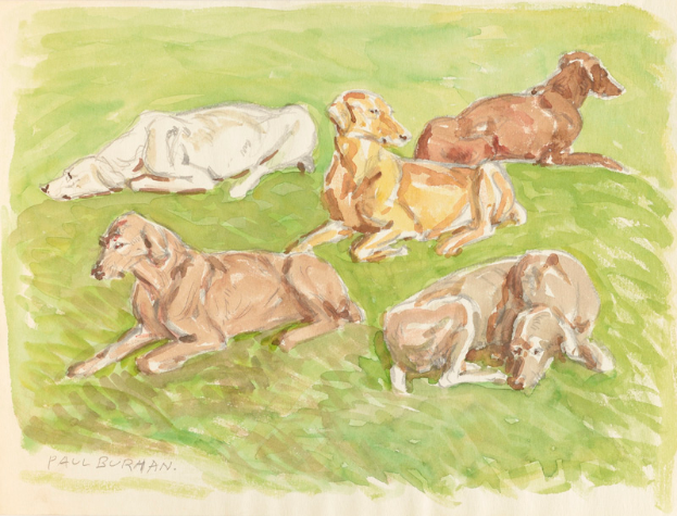 Ein realistisch gemaltes Bild von mehreren Dachshunden, die auf einem leuchtend grünen Feld unter einer strahlenden Sonne liegen.