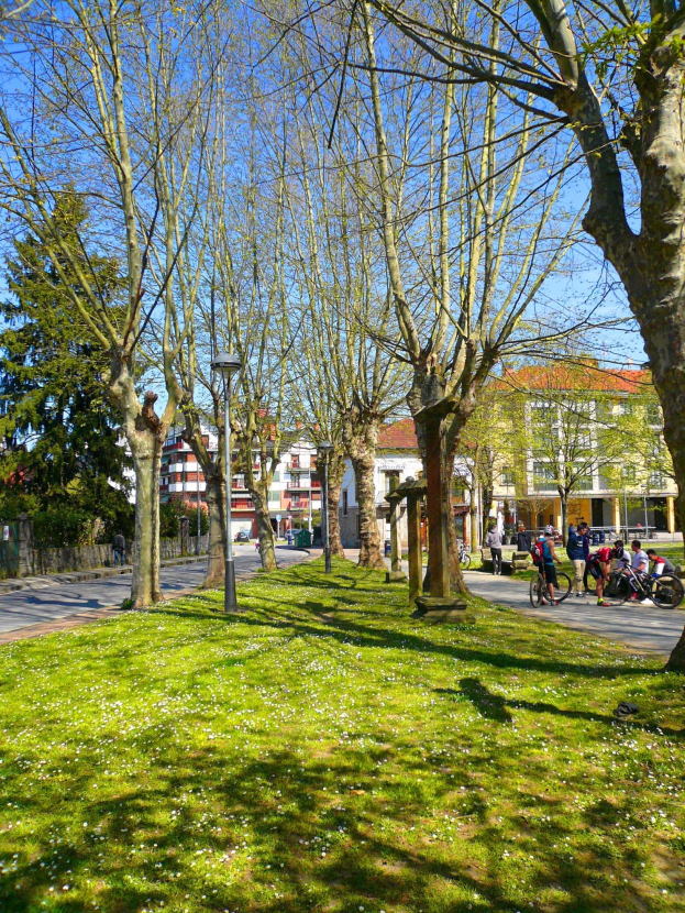Ein Park mit grünem Gras und Bäumen, Menschen, die zu Fuß und mit dem Fahrrad auf einer Straße unterwegs sind, mit Gebäuden und einem blauen Himmel im Hintergrund.