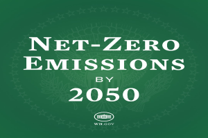 Weißer fetter Text "net-zero emissions by 2050" auf einem festen grünen Hintergrund.