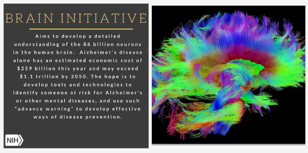 Ein Plakat mit einer farbenfrohen Illustration eines Gehirns auf der rechten Seite und Text auf der linken Seite, der das Ziel der Brain-Initiative beschreibt, ein detailliertes Verständnis der 86 Milliarden Neuronen im menschlichen Gehirn zu entwickeln.