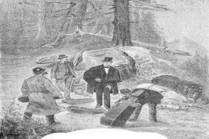 Eine Gruppe von Männern in Schwarz-Weiß-Kleidung steht um ein Auto in einem Waldgebiet, einer hält eine Waffe, mit dem Text 'Der Tod von George Washington' unten.