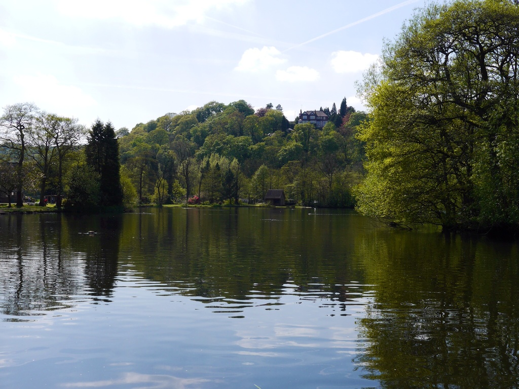 Eine friedliche Landschaft mit einem See, umgeben von Bäumen, Gras, Häusern und Bergen unter einem klaren Himmel.