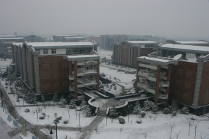Ein schneebedeckter Campus, betrachtet von oben eines Gebäudes, mit Gebäuden, Bäumen, Pflanzen, Pfählen, Laternen, Schildern und Fahrzeugen auf der Straße, mit einem klaren Himmel im Hintergrund.