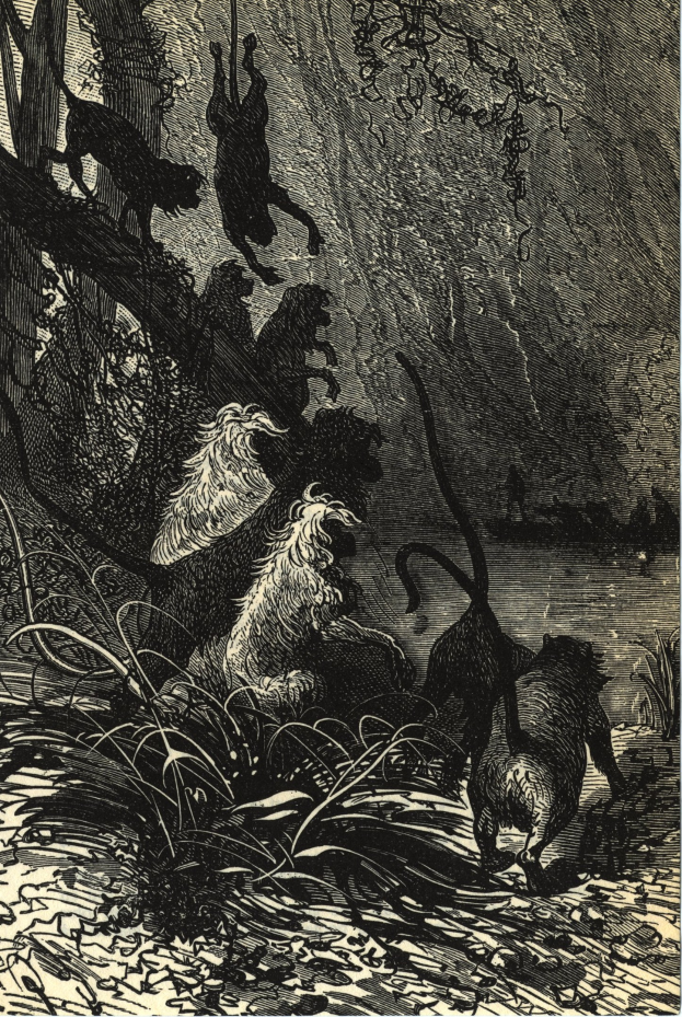 Schwarze und weiße Illustration einer Gruppe von Löwen in einer Dschungellandschaft mit üppiger Vegetation und Bäumen, die den Text 'Der Löwenkönig' unten zeigt.