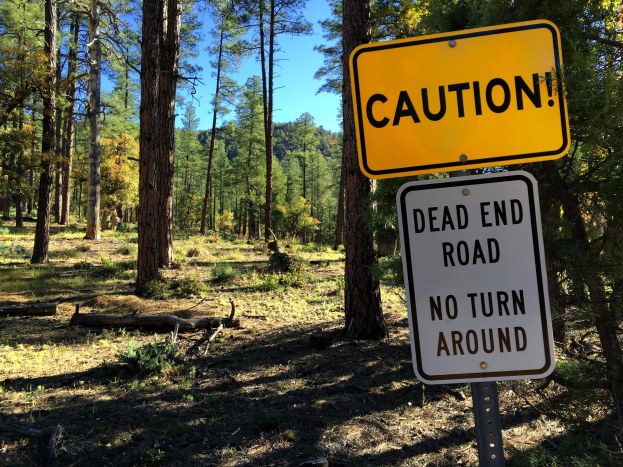 Warnschild in einem Wald mit der Aufschrift "Sackgasse - Kein Wenden" mit Bäumen und klarem Himmel im Hintergrund.