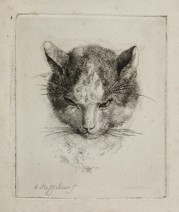 Schwarze und weiße Zeichnung eines realistischen Katers mit großen Augen, aufgestellten Ohren, langer Schnurrhaare und einer eingerollten Schwanz auf einem Blatt Papier mit fetter Schrift.