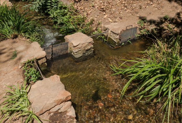 Ein kleiner Bach fließt durch einen grünen Wald, mit einem metallenen Abwasserbehälter in der Mitte des Bachs, umgeben von Wasser, Steinen, Pflanzen und trockenen Blättern am Boden.