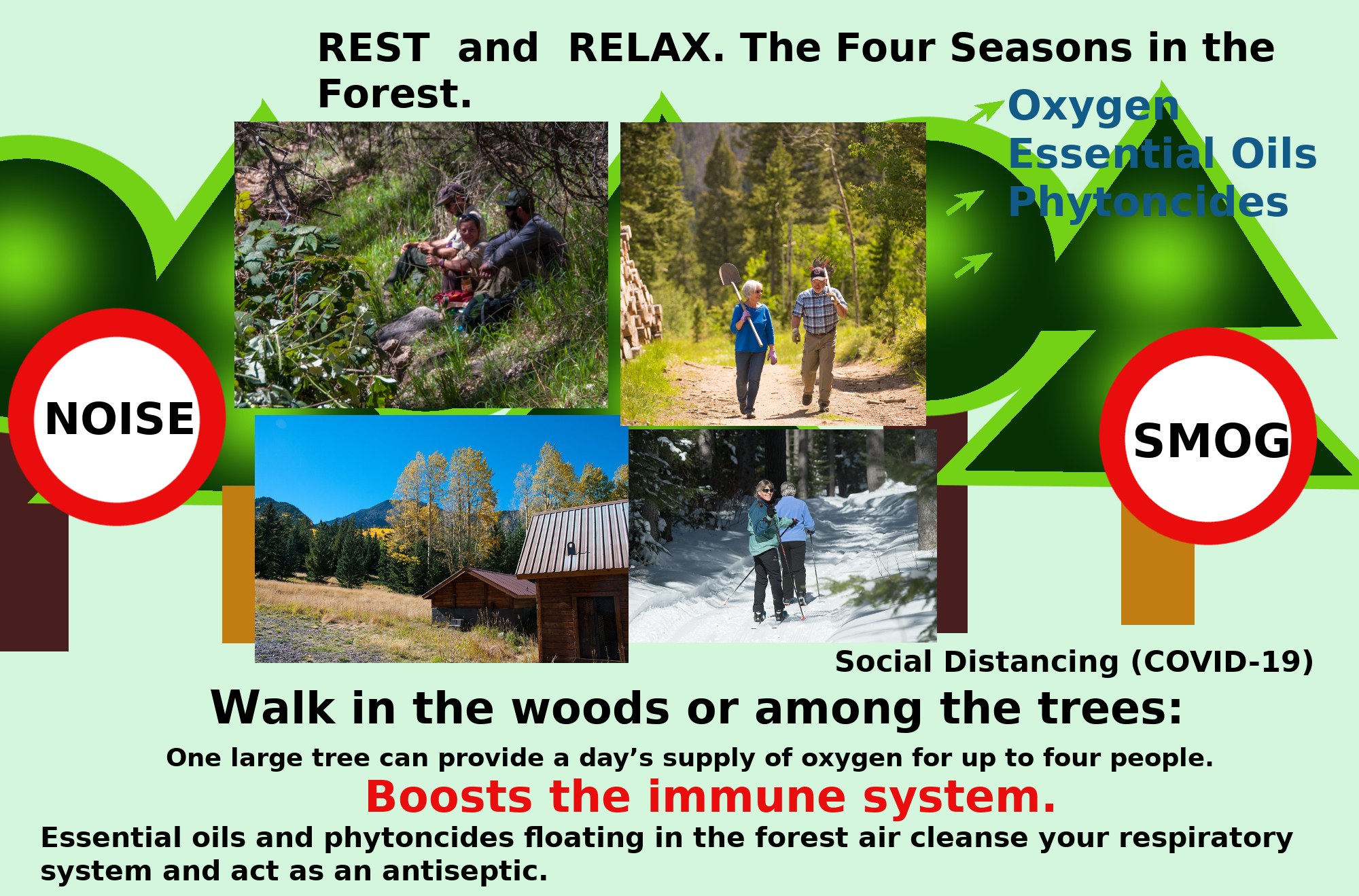 Plakat mit Bildern von Menschen, die im Wald spazieren gehen, mit einem Haus, das Entspannung in der Natur mit dem Text "Ruhe und Entspannung die vier Jahreszeiten im Wald." bewirbt.