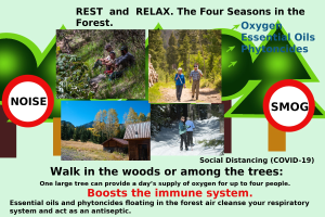 Plakat mit Bildern von Menschen, die im Wald spazieren gehen, mit einem Haus, das Entspannung in der Natur mit dem Text "Ruhe und Entspannung die vier Jahreszeiten im Wald." bewirbt.